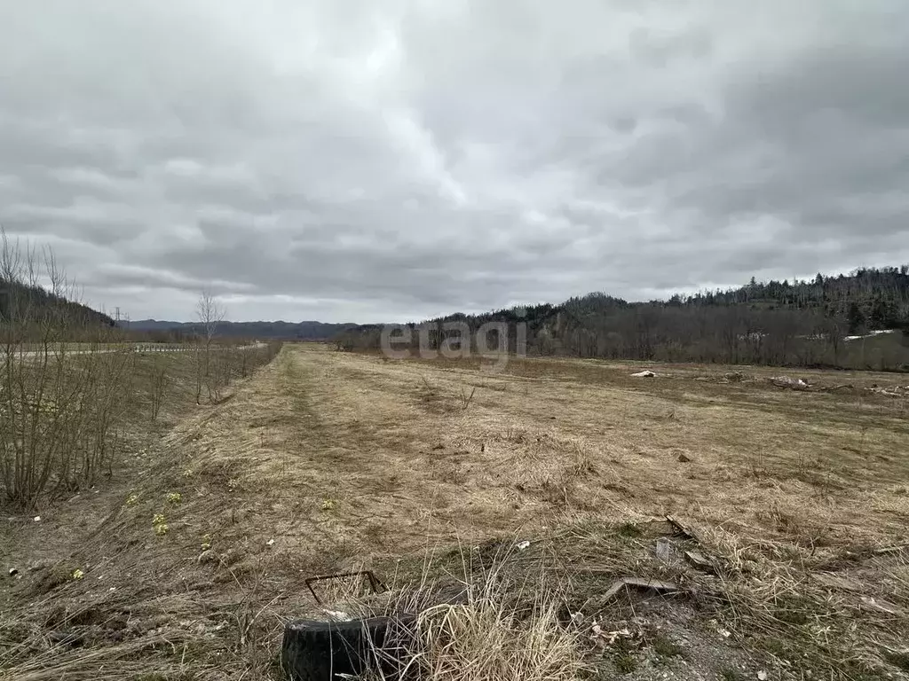 Участок в Сахалинская область, Анивский городской округ, с. Огоньки  ... - Фото 2