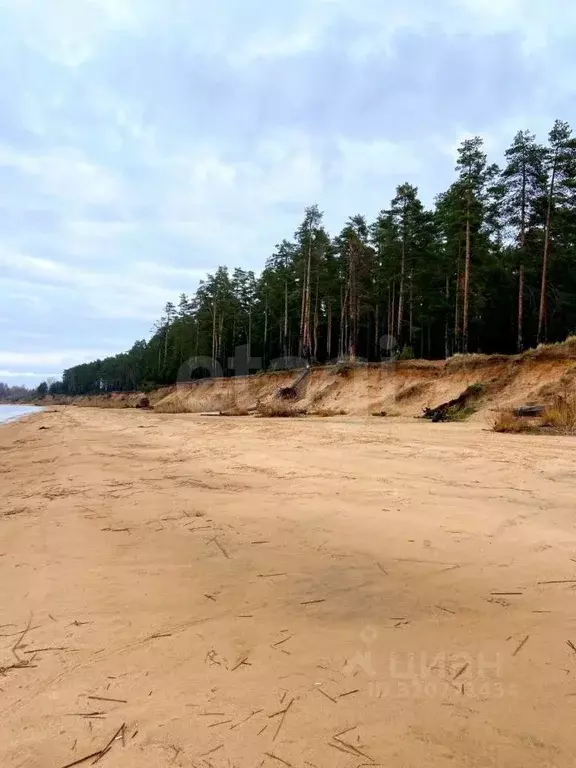 Дом в Вологодская область, Череповецкий район, Уломское с/пос, д. ... - Фото 1