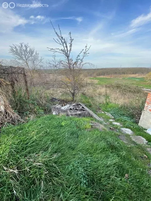 Участок в Фадеево, улица Фадеева (30 м) - Фото 1