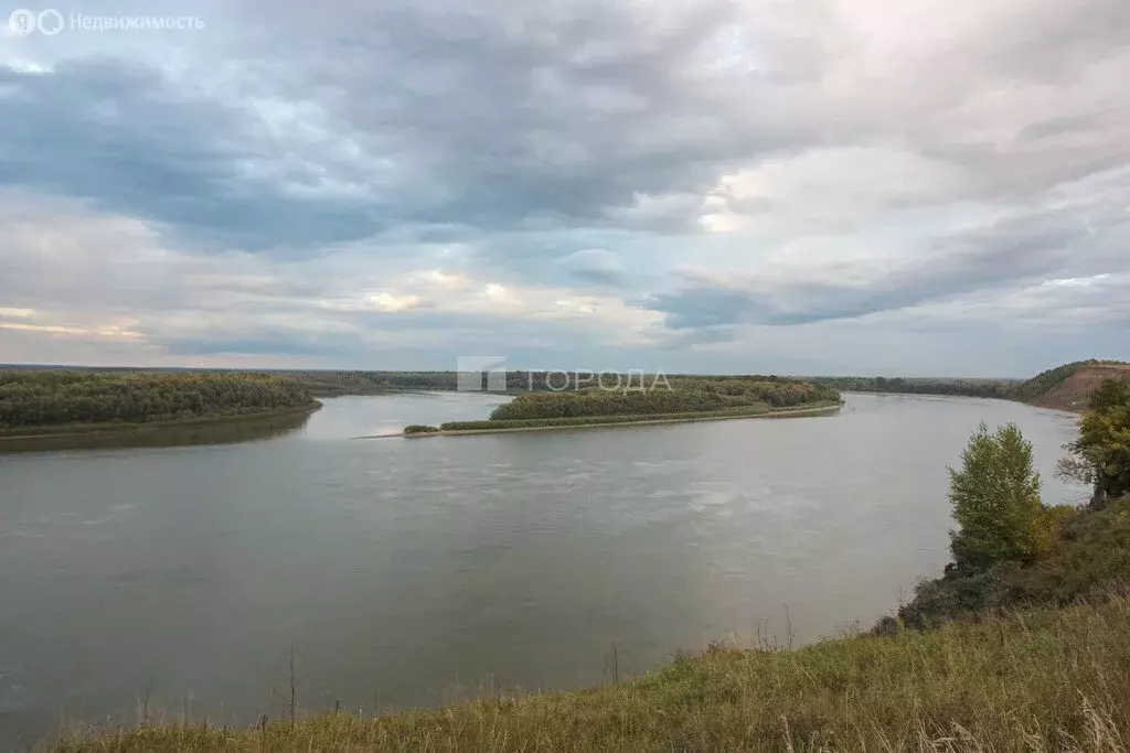 Участок в Алтайский край, городской округ Барнаул, посёлок Казённая ... - Фото 0