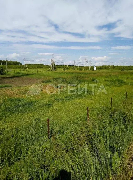 Участок в Тюменская область, Нижнетавдинский муниципальный округ, д. ... - Фото 2