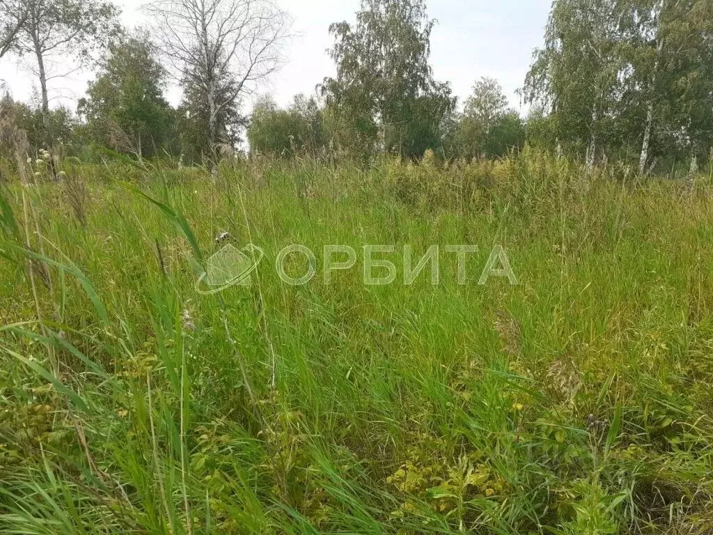 Участок в Тюменская область, Нижнетавдинский район, Сочинские СНТ 15-я ... - Фото 0