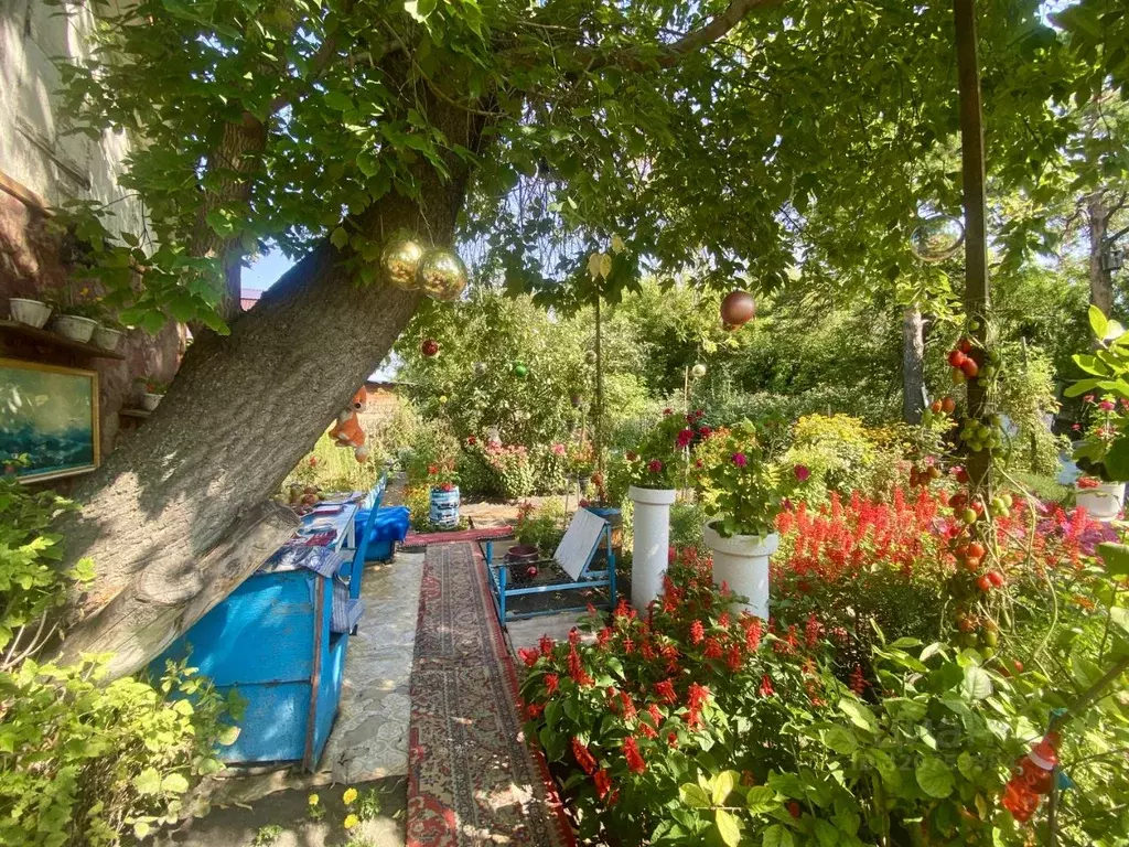 Дом в Омская область, Омск СОСН Энергия тер.,  (12 м) - Фото 2