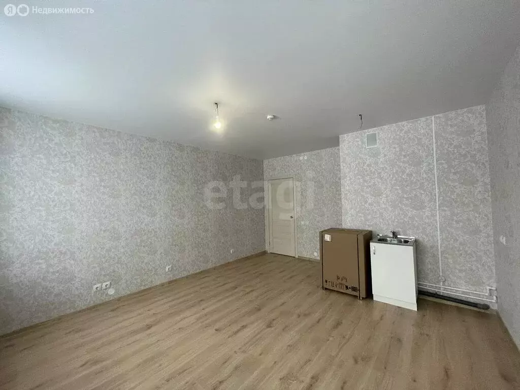 Квартира-студия: село Фролы, Балтийская улица, 8 (28.3 м) - Фото 1