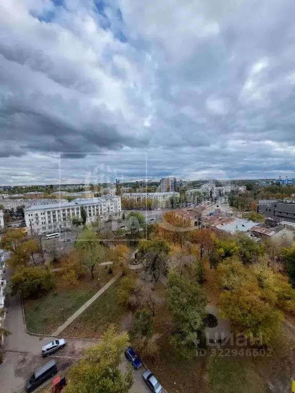 2-к кв. Воронежская область, Воронеж Ленинский просп., 3/2 (49.3 м) - Фото 1