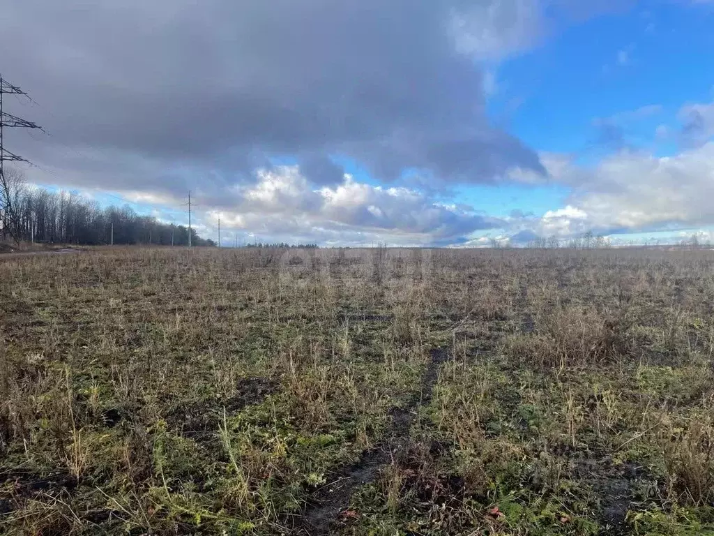 Участок в Мордовия, Лямбирский район, Берсеневское с/пос, Альтерра кп  ... - Фото 2