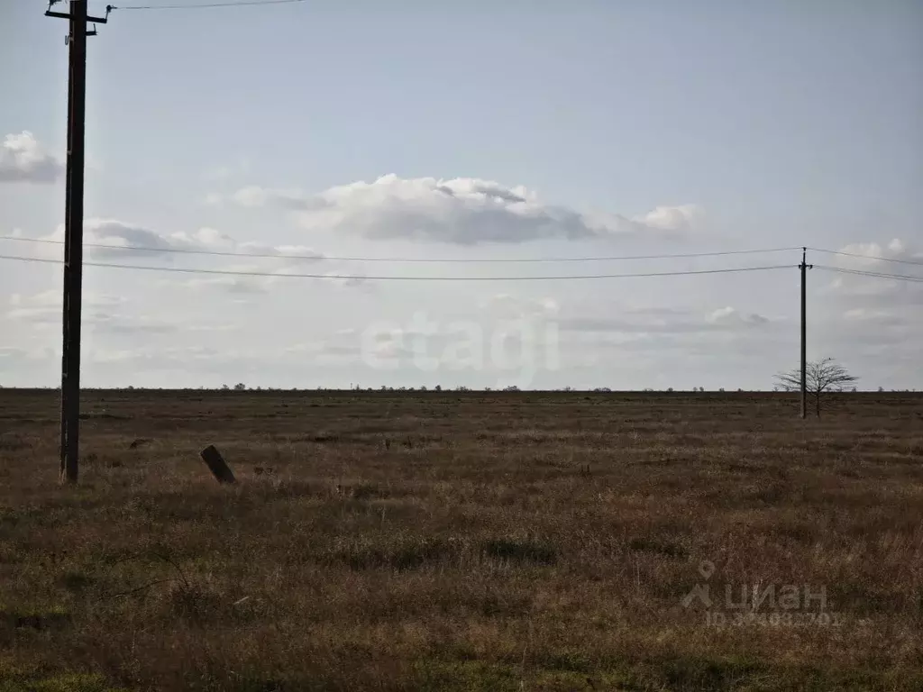 Участок в Крым, Сакский район, с. Сизовка  (2999.0 сот.) - Фото 2