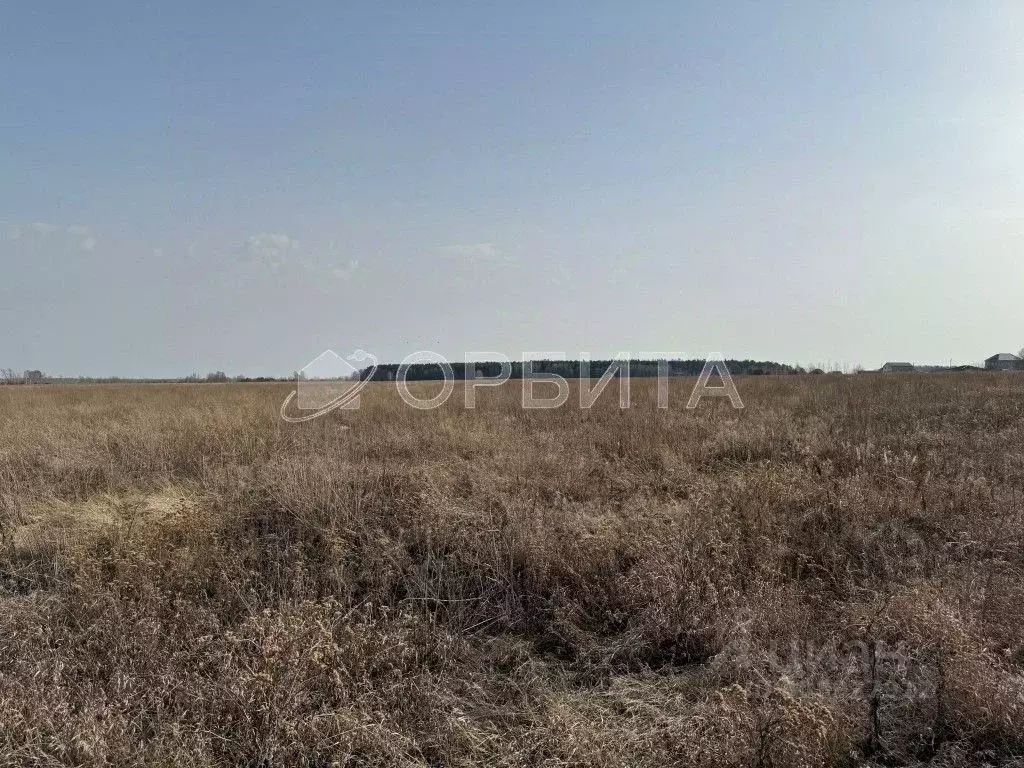 Участок в Тюменская область, Тюменский район, с. Салаирка  (1211.03 ... - Фото 1