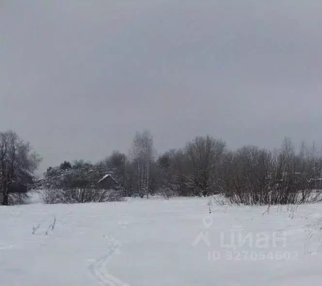 Участок в Московская область, Дмитровский муниципальный округ, пос. ... - Фото 1