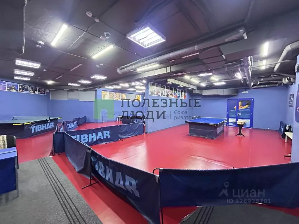 Помещение свободного назначения в Краснодарский край, Геленджик ... - Фото 1