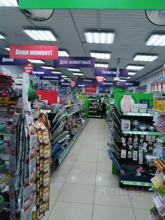 Помещение свободного назначения в Забайкальский край, Чита ул. ... - Фото 2