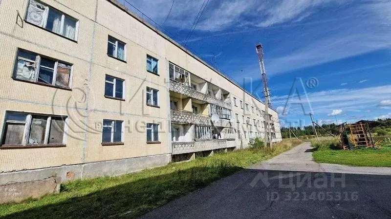 2-к кв. Ленинградская область, Бокситогорский район, Ефимовское ... - Фото 2