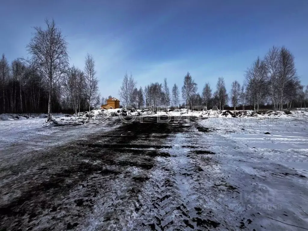 Участок в Тюменская область, Тюмень Яровское садовое товарищество, ул. ... - Фото 1