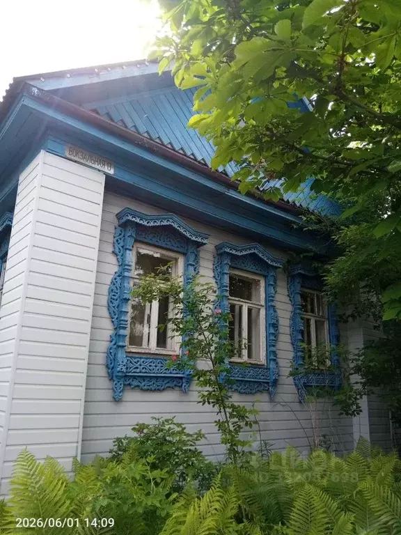 Участок в Нижегородская область, Балахнинский муниципальный округ, ... - Фото 1