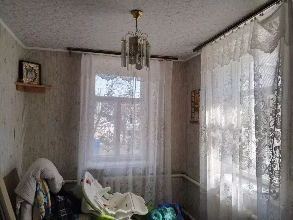 Дом в Нижегородская область, Бор муниципальный округ, д. Борисовка 23А ... - Фото 2