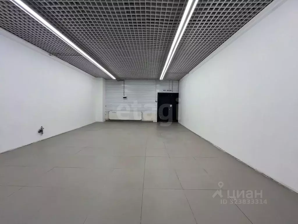 Торговая площадь в Мордовия, Саранск Севастопольская ул., 7/1 (54 м) - Фото 2