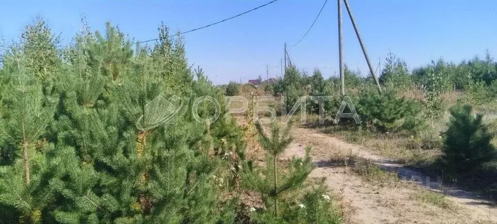 Участок в Тюменская область, Тюменский район, Исток СНТ ул. ... - Фото 0