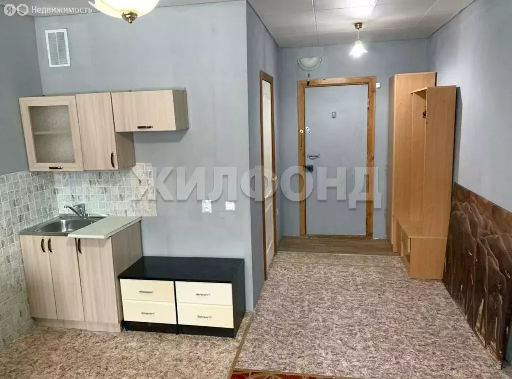 Квартира-студия: Бердск, Кристальная улица, 13 (19.1 м) - Фото 2