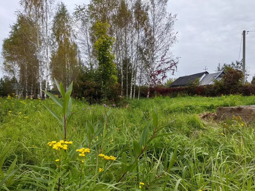 Участок в Московская область, Рузский муниципальный округ, д. Костино ... - Фото 1