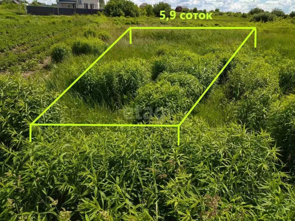 Купить Дачу В Новые Дарковичи Брянской Области