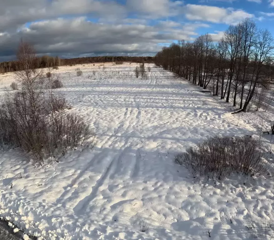 Участок в Московская область, Дмитровский городской округ, д. Микляево ... - Фото 1