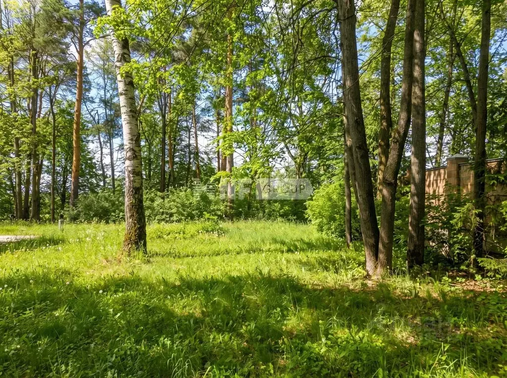Участок в Московская область, Одинцовский городской округ, д. Барвиха, ... - Фото 1
