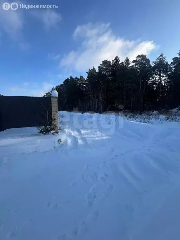 Участок в Тюменский муниципальный округ, село Гусево (12 м) - Фото 2