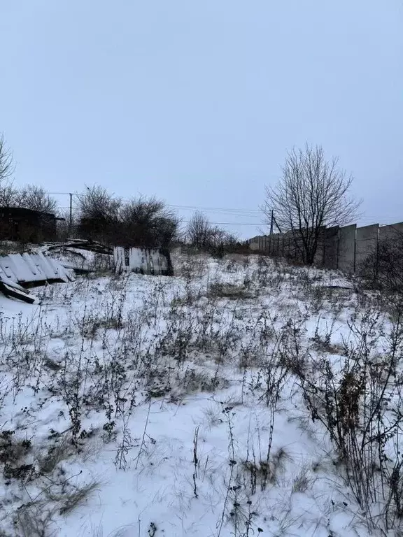 Участок в Белгородская область, Яковлевский муниципальный округ, с. ... - Фото 1