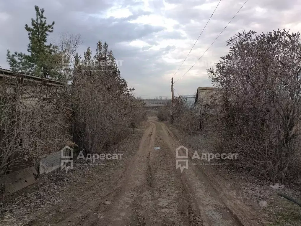 Дом в Волгоградская область, Волгоград ул. Можжевеловая (24 м) - Фото 1