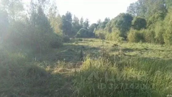 Участок в Псковская область, Псковский район, Краснопрудская волость, ... - Фото 2