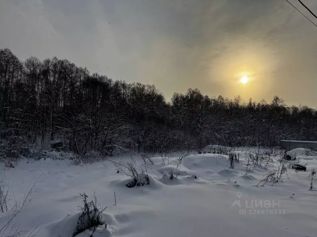 Участок в Московская область, Солнечногорск городской округ, д. Новая ... - Фото 1