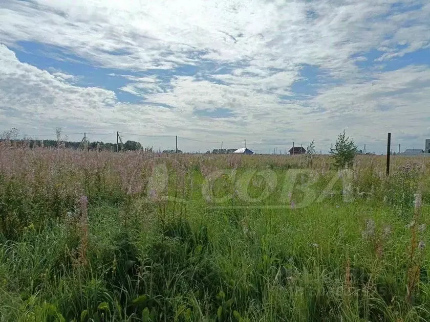 Участок в Тюменская область, Тюменский район, с. Борки  (16.81 сот.) - Фото 1