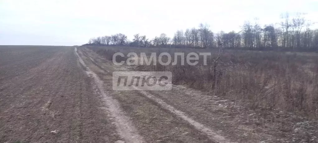 Участок в Курская область, Курский район, Моковский сельсовет, д. 2-я ... - Фото 0