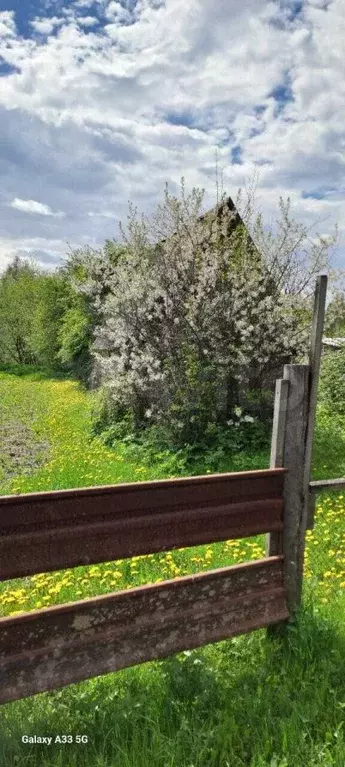 Участок 7 сот. (СНТ, ДНП) - Фото 0