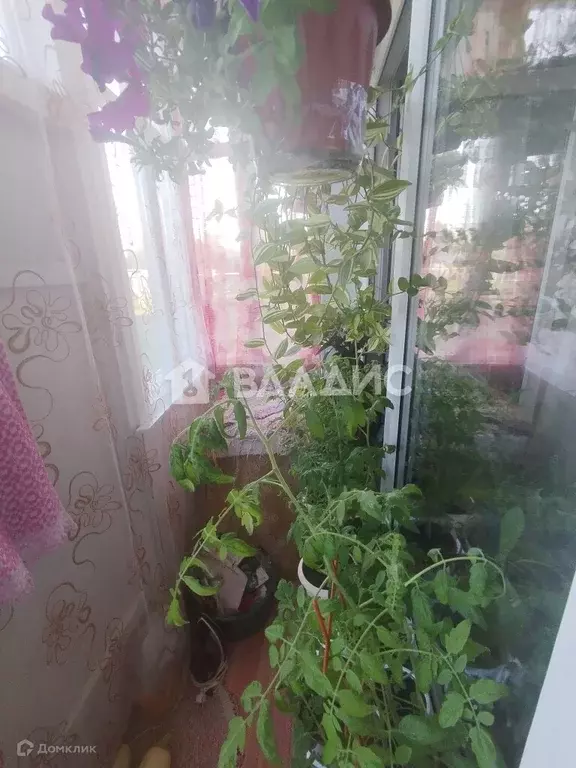 Продаётся 1-к квартира, 32.8 м - Фото 1
