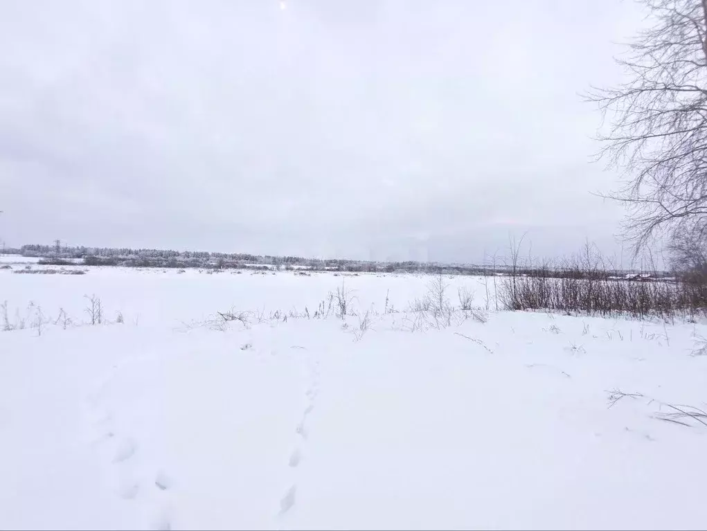 Участок в Ленинградская область, Волховский район, Староладожское ... - Фото 1