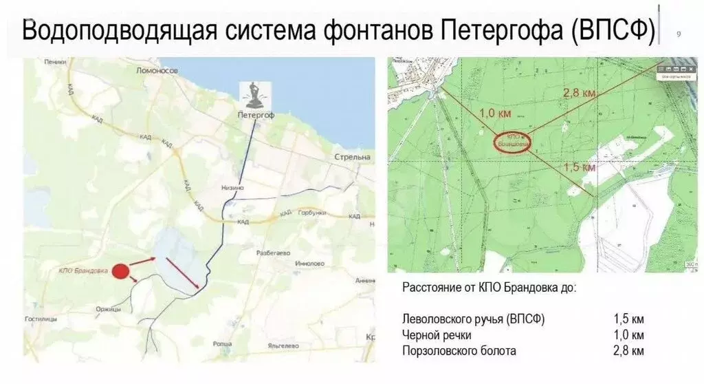 Участок в Оржицкое сельское поселение, урочище Брандовка (6 м) - Фото 1