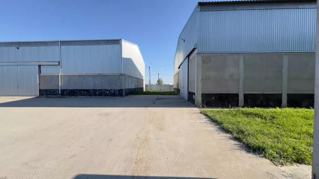 Склад в Краснодарский край, Темрюк ул. Ленина, 29 (11553 м) - Фото 2