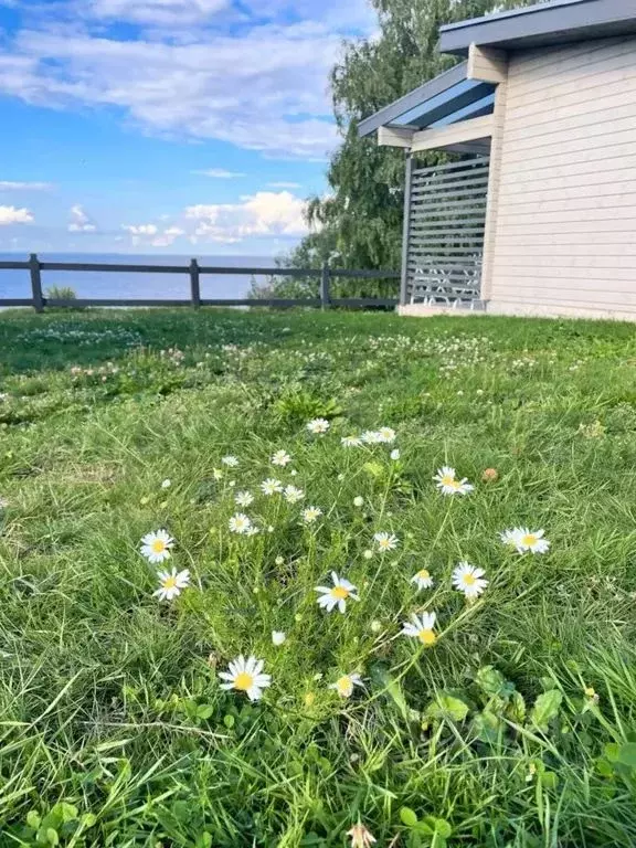 Дом в Новгородская область, Шимское городское поселение, д. Коростынь ... - Фото 1