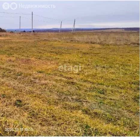 Участок в Амурская область, Благовещенский муниципальный округ, село ... - Фото 1