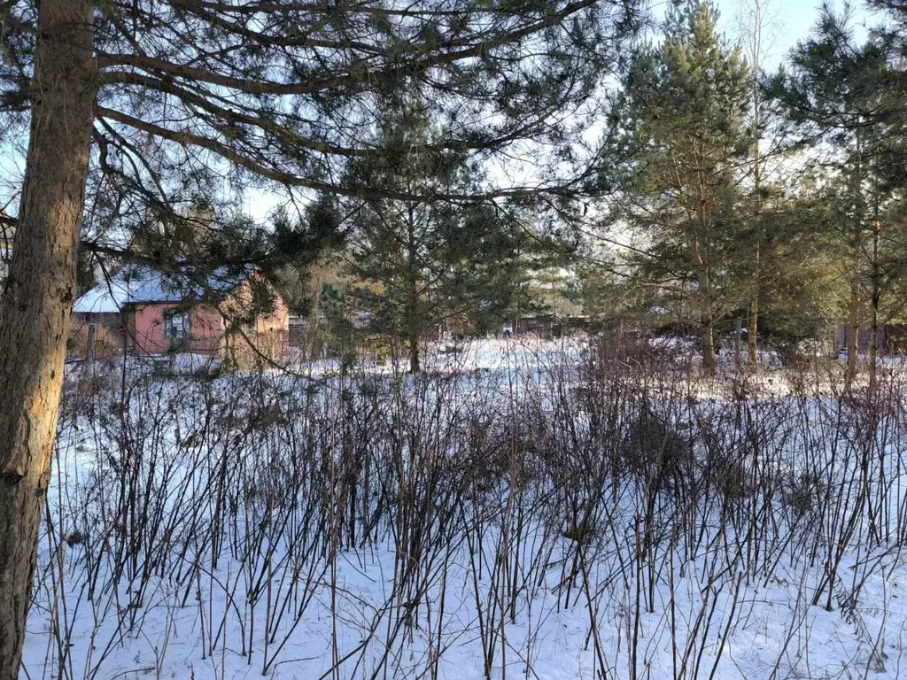 Участок в Московская область, Раменский городской округ, с. Речицы ул. ... - Фото 1