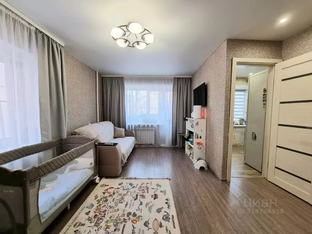 1-к кв. Орловская область, Орел Октябрьская ул., 37 (29.8 м) - Фото 1