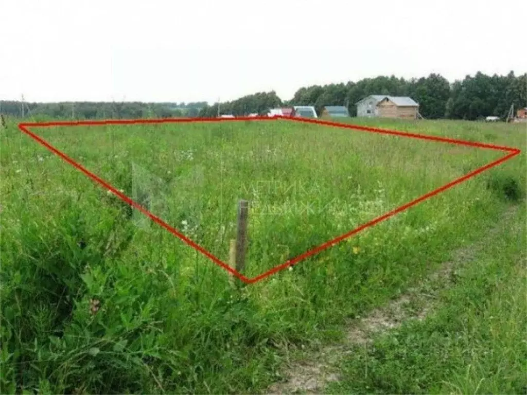 Дом в Тюменская область, Нижнетавдинский муниципальный округ, Ромашка ... - Фото 1