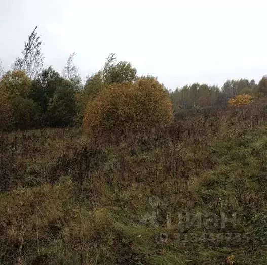 Участок в Московская область, Дмитровский муниципальный округ, д. ... - Фото 1