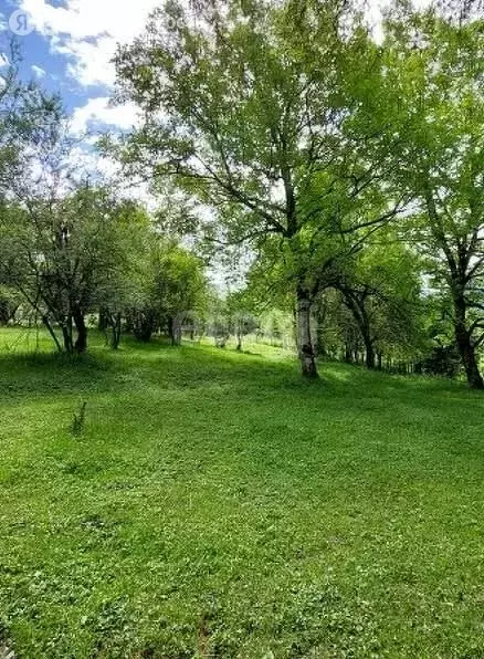 Участок в Краснодарский край, городской округ Сочи, село Нижняя ... - Фото 1