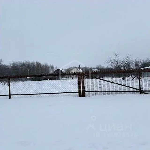 Участок в Рязанская область, Шиловский муниципальный округ, с. Юшта ... - Фото 2
