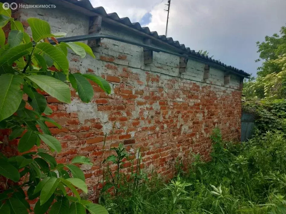 Участок в село Отрадо-Ольгинское, Красная улица, 8 (46 м) - Фото 2