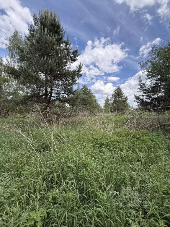 Участок в Владимирская область, Суздальский район, Боголюбовское ... - Фото 1
