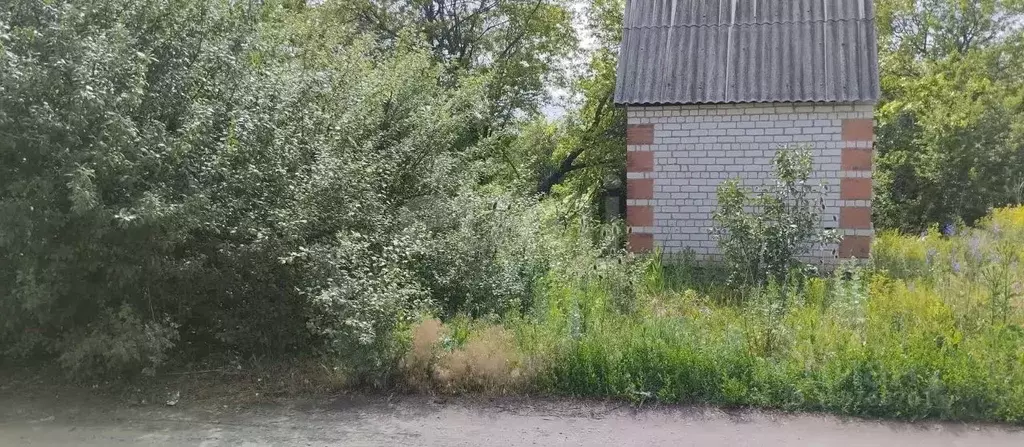Участок в Белгородская область, Белгородский район, Тавровское с/пос, ... - Фото 0