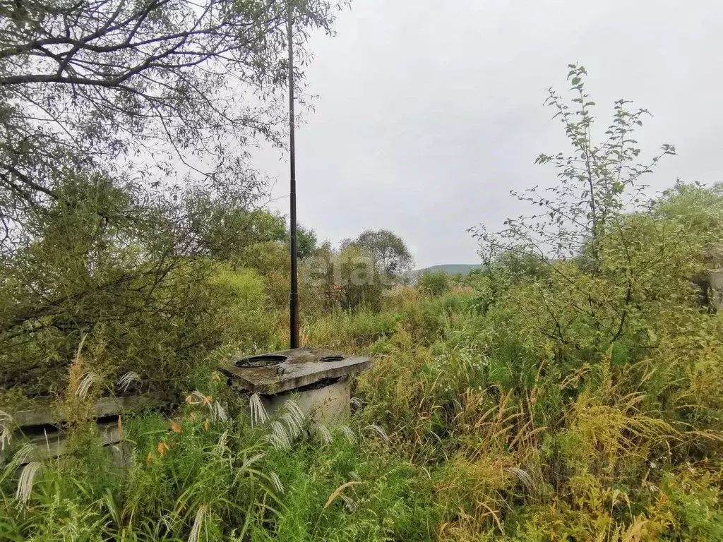 Участок в Приморский край, Уссурийский городской округ, с. Долины  ... - Фото 1